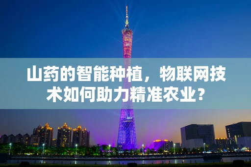 山药的智能种植，物联网技术如何助力精准农业？