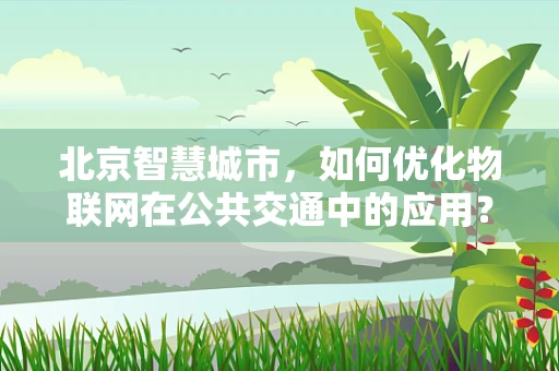 北京智慧城市，如何优化物联网在公共交通中的应用？