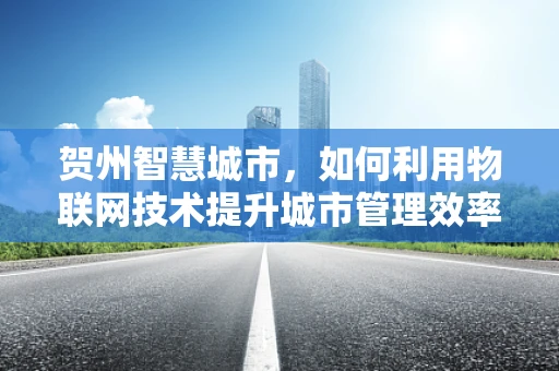 贺州智慧城市，如何利用物联网技术提升城市管理效率？