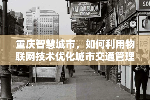 重庆智慧城市，如何利用物联网技术优化城市交通管理？