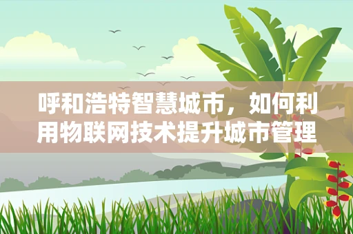 呼和浩特智慧城市，如何利用物联网技术提升城市管理效率？