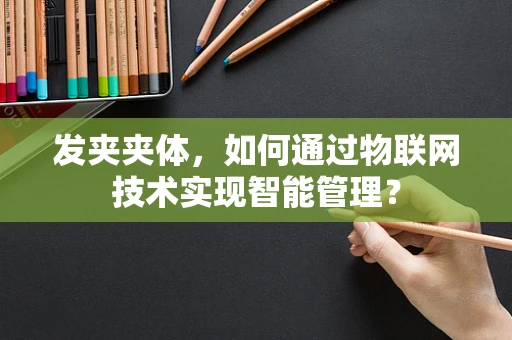 发夹夹体，如何通过物联网技术实现智能管理？