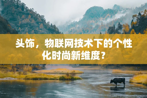 头饰，物联网技术下的个性化时尚新维度？