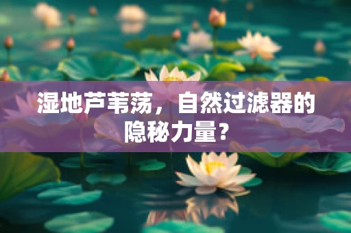 湿地芦苇荡，自然过滤器的隐秘力量？