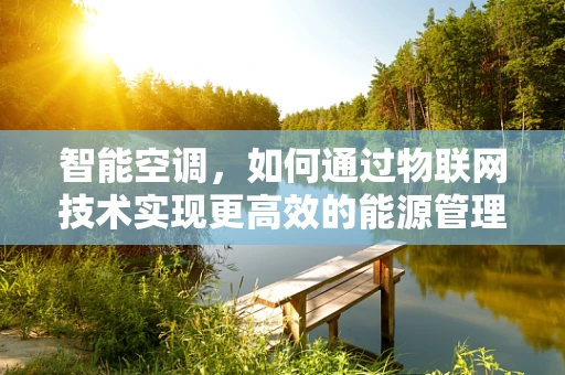智能空调，如何通过物联网技术实现更高效的能源管理？