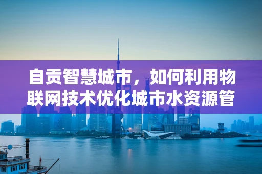 自贡智慧城市，如何利用物联网技术优化城市水资源管理？