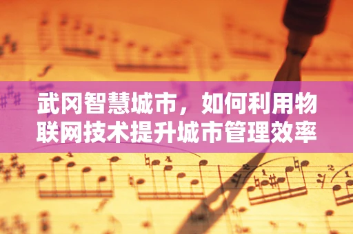 武冈智慧城市，如何利用物联网技术提升城市管理效率？