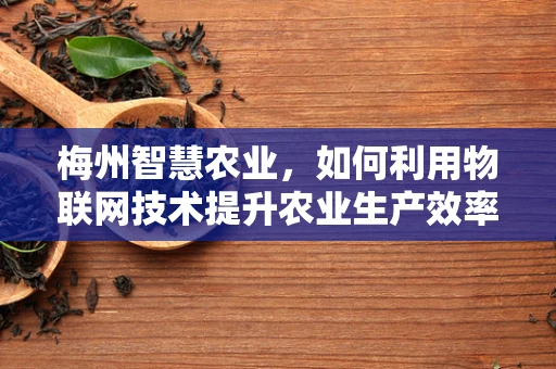 梅州智慧农业，如何利用物联网技术提升农业生产效率？