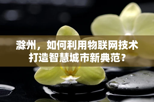 滁州，如何利用物联网技术打造智慧城市新典范？