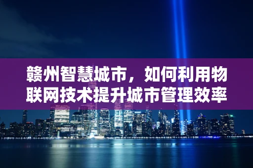 赣州智慧城市，如何利用物联网技术提升城市管理效率？