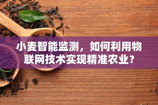 小麦智能监测，如何利用物联网技术实现精准农业？