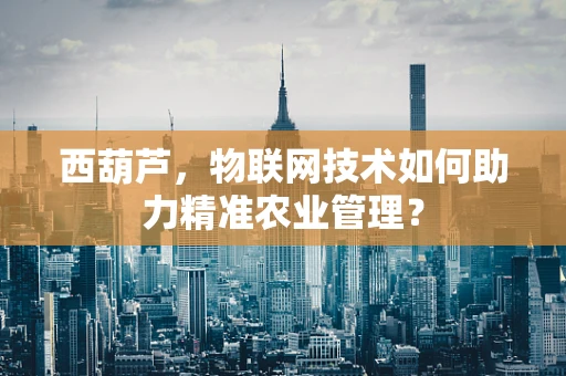 西葫芦，物联网技术如何助力精准农业管理？