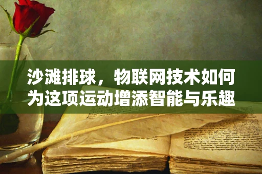沙滩排球，物联网技术如何为这项运动增添智能与乐趣？