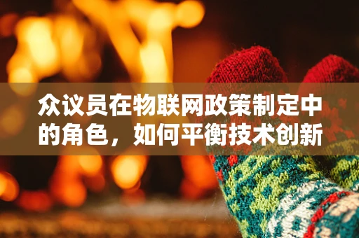 众议员在物联网政策制定中的角色，如何平衡技术创新与公众利益？