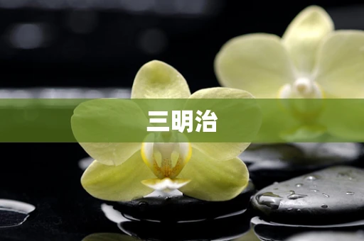 三明治