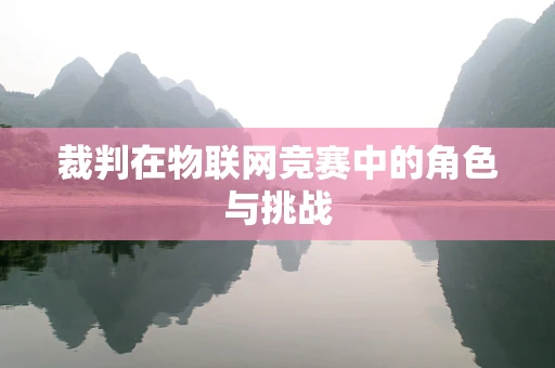 裁判在物联网竞赛中的角色与挑战