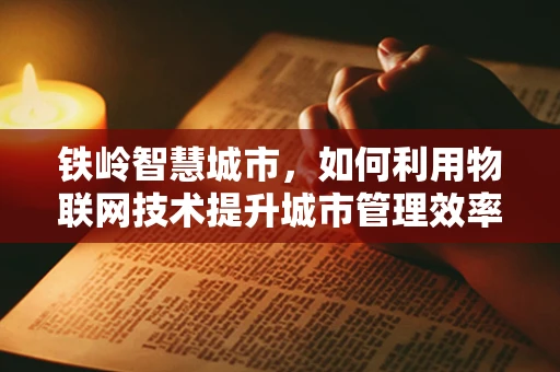 铁岭智慧城市，如何利用物联网技术提升城市管理效率？