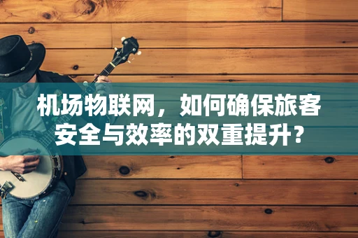 机场物联网，如何确保旅客安全与效率的双重提升？