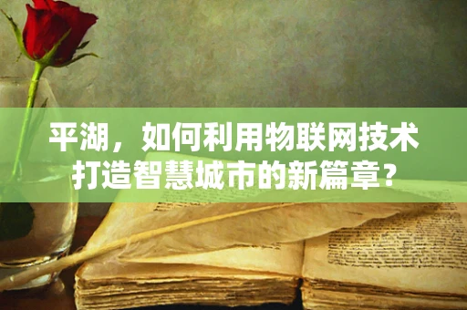 平湖，如何利用物联网技术打造智慧城市的新篇章？