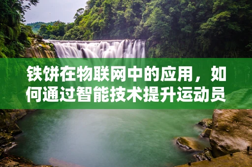 铁饼在物联网中的应用，如何通过智能技术提升运动员的投掷表现？