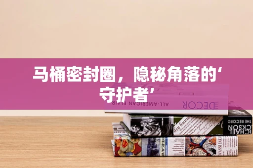 马桶密封圈，隐秘角落的‘守护者’