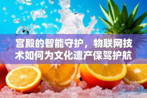 宫殿的智能守护，物联网技术如何为文化遗产保驾护航？