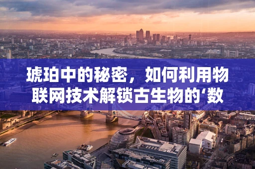 琥珀中的秘密，如何利用物联网技术解锁古生物的‘数字档案’？