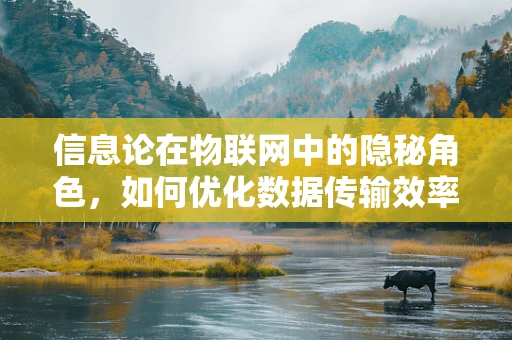 信息论在物联网中的隐秘角色，如何优化数据传输效率？