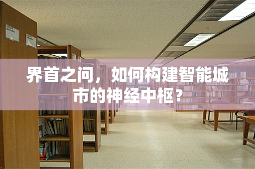 界首之问，如何构建智能城市的神经中枢？