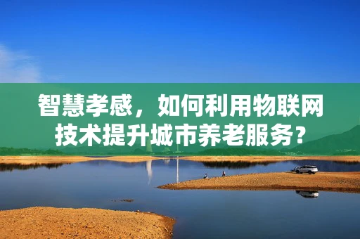 智慧孝感，如何利用物联网技术提升城市养老服务？