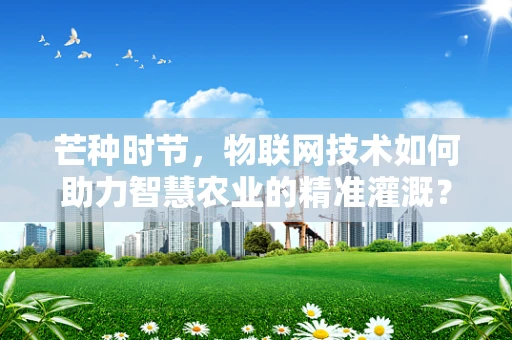 芒种时节，物联网技术如何助力智慧农业的精准灌溉？