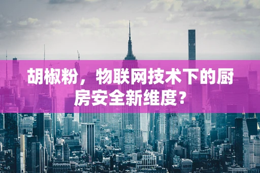 胡椒粉，物联网技术下的厨房安全新维度？