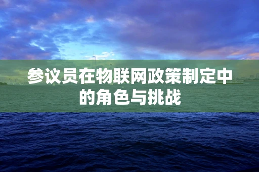 参议员在物联网政策制定中的角色与挑战