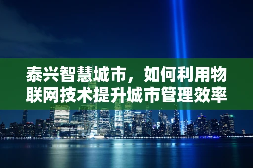 泰兴智慧城市，如何利用物联网技术提升城市管理效率？