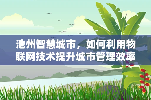 池州智慧城市，如何利用物联网技术提升城市管理效率？