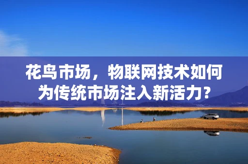 花鸟市场，物联网技术如何为传统市场注入新活力？