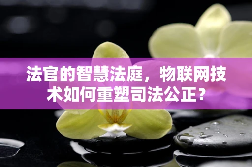 法官的智慧法庭，物联网技术如何重塑司法公正？