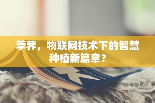 荸荠，物联网技术下的智慧种植新篇章？