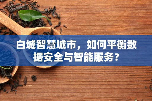 白城智慧城市，如何平衡数据安全与智能服务？