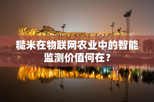 糙米在物联网农业中的智能监测价值何在？