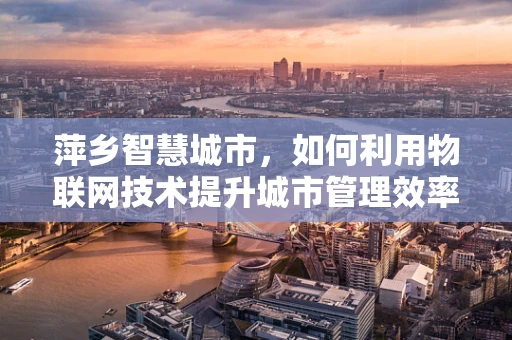 萍乡智慧城市，如何利用物联网技术提升城市管理效率？