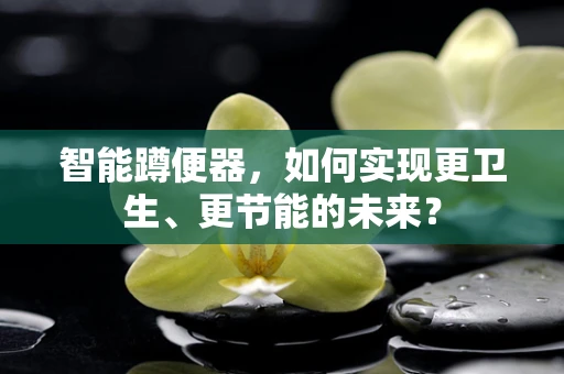 智能蹲便器，如何实现更卫生、更节能的未来？
