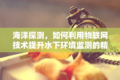 海洋探测，如何利用物联网技术提升水下环境监测的精确度？