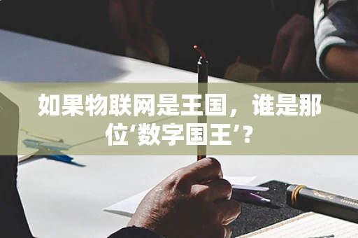 如果物联网是王国，谁是那位‘数字国王’？