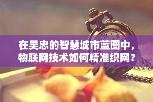 在吴忠的智慧城市蓝图中，物联网技术如何精准织网？