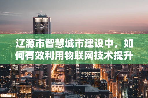 辽源市智慧城市建设中，如何有效利用物联网技术提升城市管理效率？