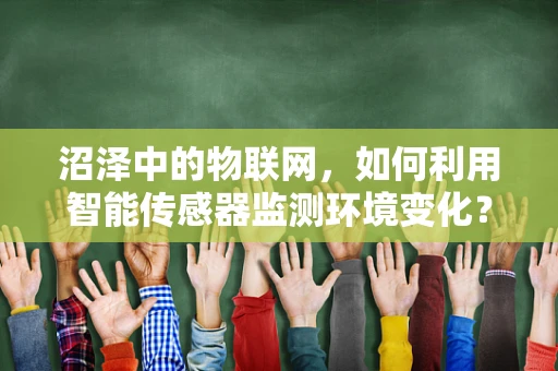 沼泽中的物联网，如何利用智能传感器监测环境变化？