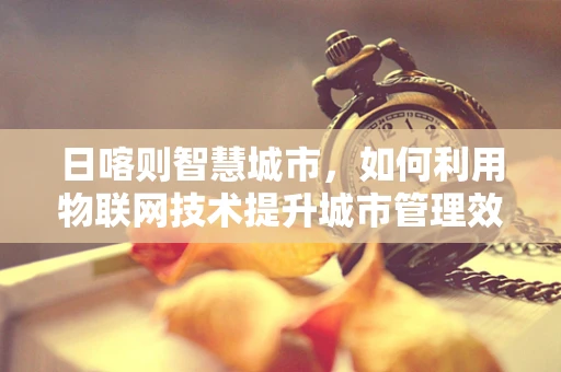 日喀则智慧城市，如何利用物联网技术提升城市管理效率？