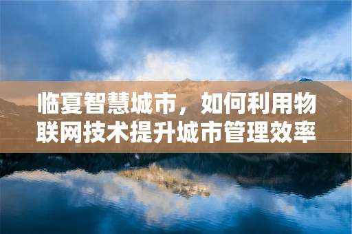 临夏智慧城市，如何利用物联网技术提升城市管理效率？