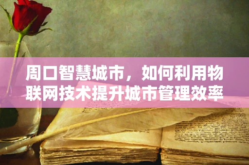 周口智慧城市，如何利用物联网技术提升城市管理效率？
